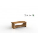 Ergoplan Coffee Table 1200 x 600 - Tawa