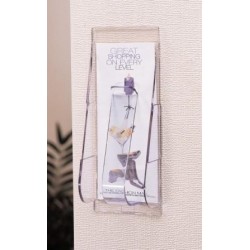 Stand-Tall Literature Rack, DLE, Clear