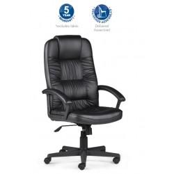 CEO Task Executive Chair