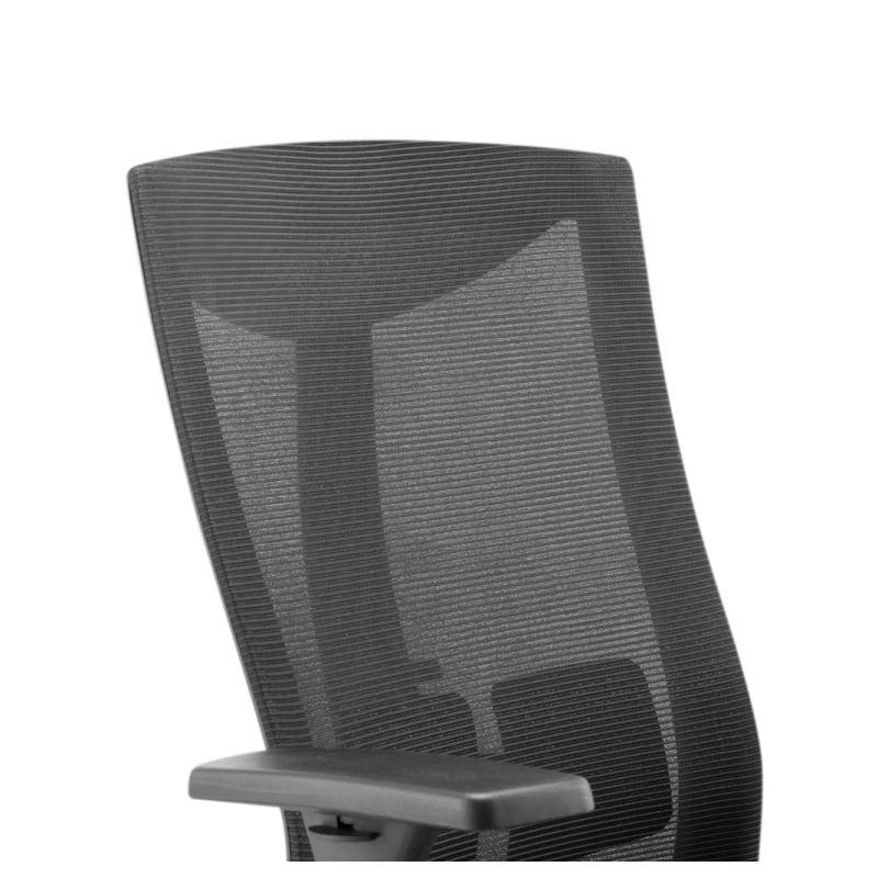 Brateck Office Chair With Ergonomic & Breathable Mesh Back Precision