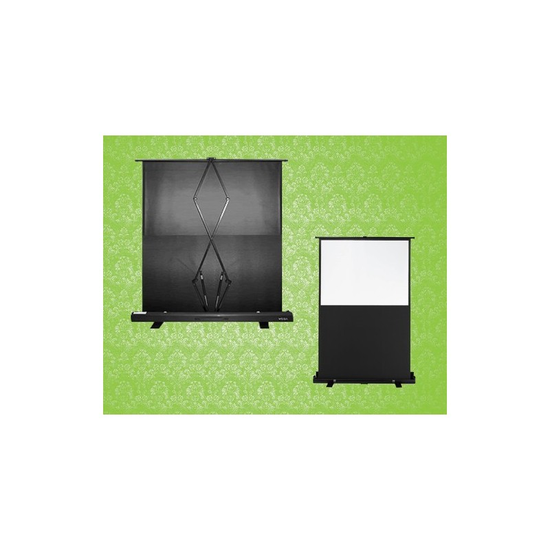 Portable Pull-Up 60" Projection Screen