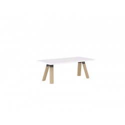 Ligna Coffee Table 1200 x 600