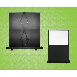 Portable Pull-Up 60" Projection Screen